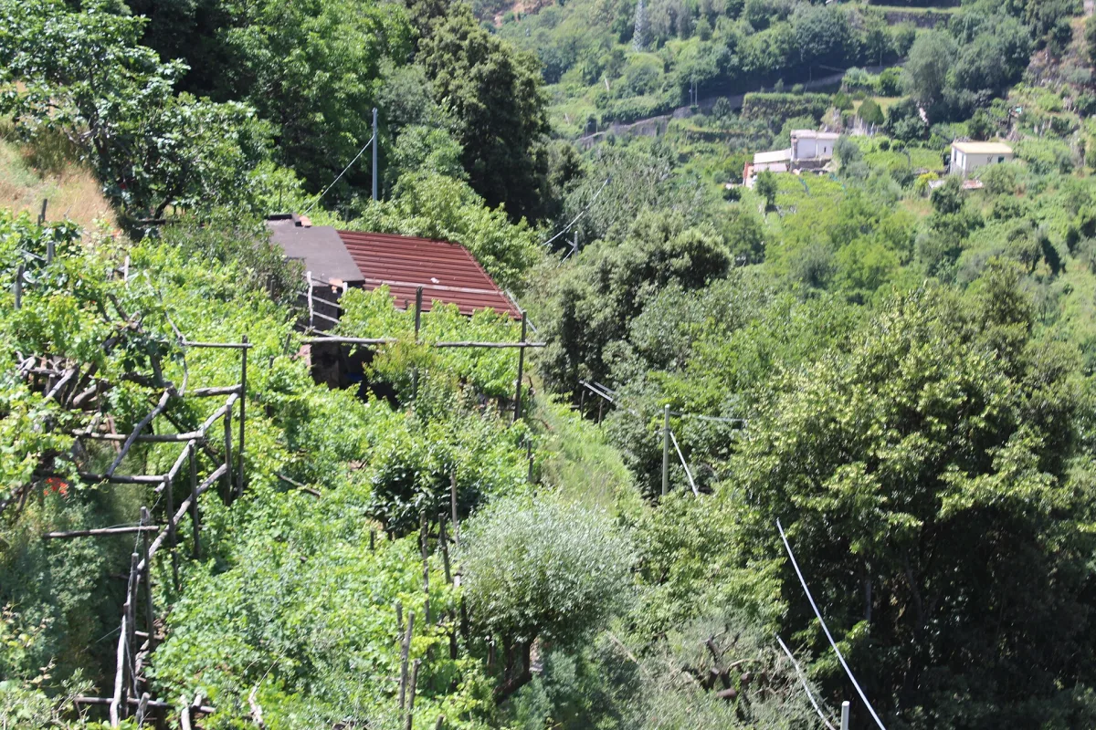 Come arrivare a Ravello: guida pratica per ogni tratta