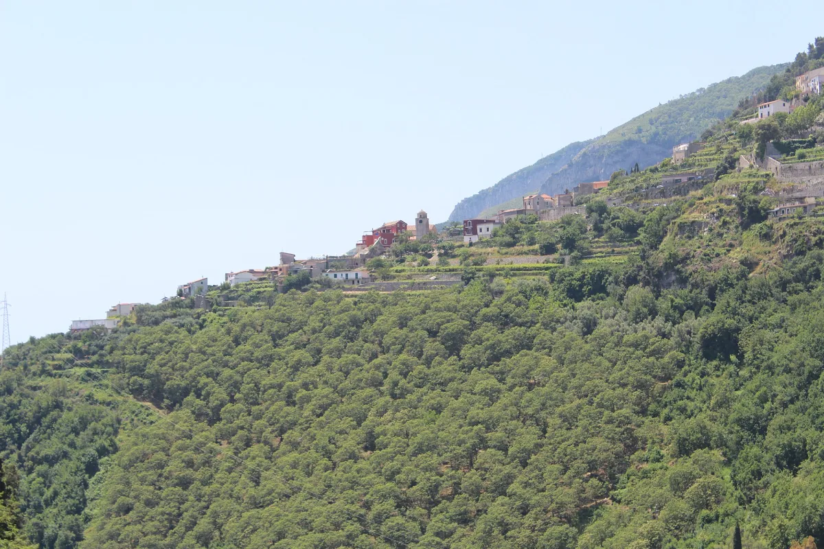 Eventi a Ravello novembre 2026: programma e aggiornamenti