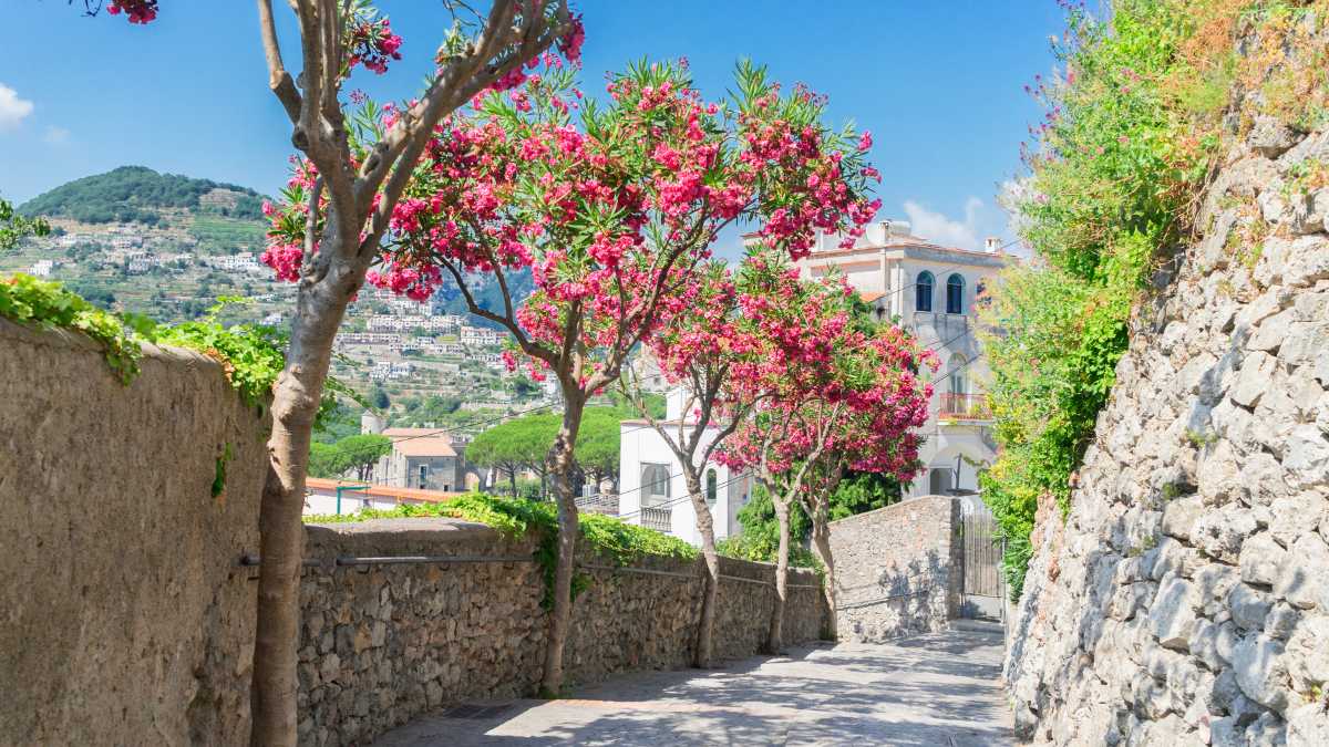 Escursioni a piedi da Ravello alla Marmorata: percorsi e durata