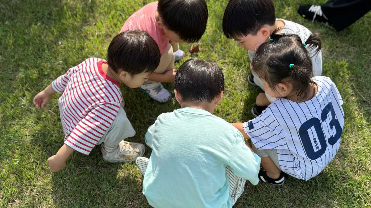 Ravello con bambini: attività e idee per famiglie